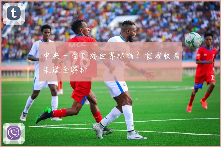 中央一台直播世界杯吗？官方收看渠道全解析