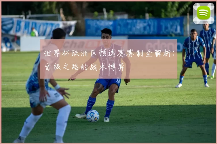 世界杯欧洲区预选赛赛制全解析：晋级之路的战术博弈