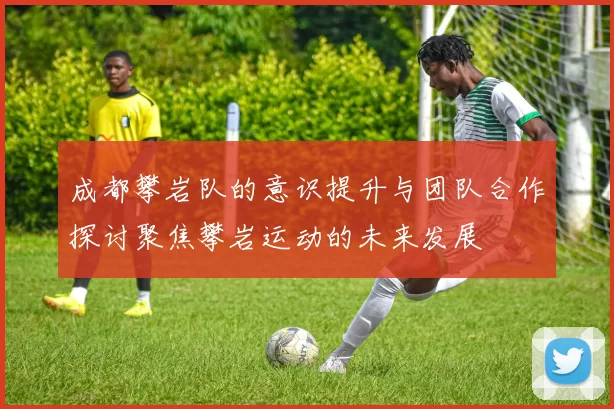 成都攀岩队的意识提升与团队合作探讨聚焦攀岩运动的未来发展