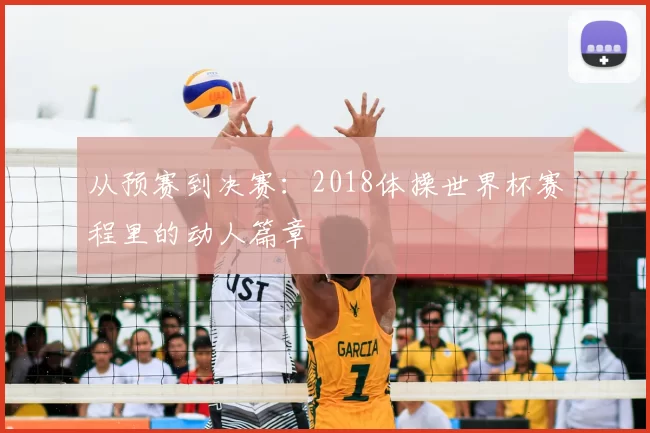 从预赛到决赛:2018体操世界杯赛程里的动人篇章