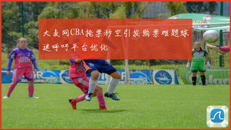 大麦网CBA抢票秒空引发购票难题球迷呼吁平台优化