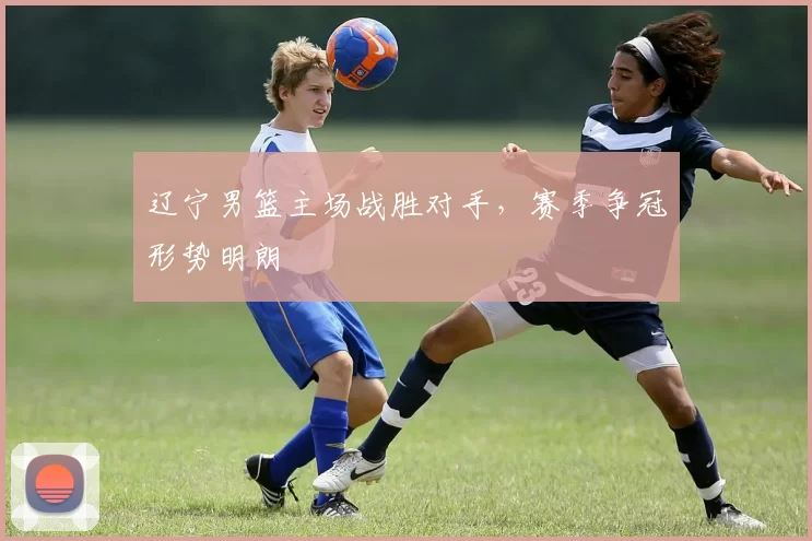辽宁男篮主场战胜对手,赛季争冠形势明朗
