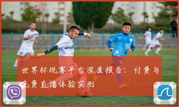 世界杯观赛平台深度报告:付费与免费直播体验实测
