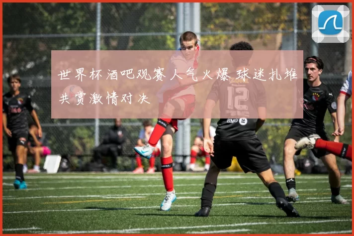 世界杯酒吧观赛人气火爆 球迷扎堆共赏激情对决
