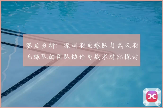 赛后分析:深圳羽毛球队与武汉羽毛球队的团队协作与战术对比探讨