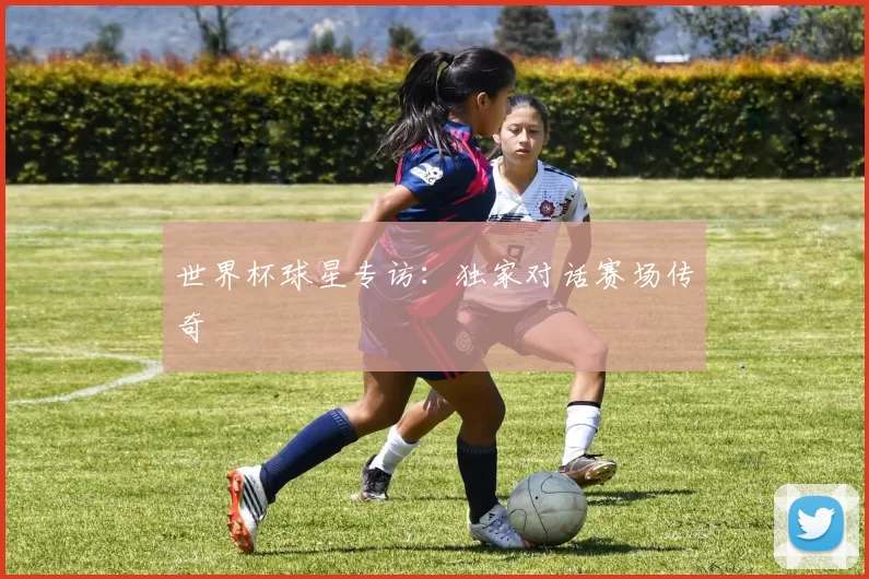 世界杯球星专访：独家对话赛场传奇