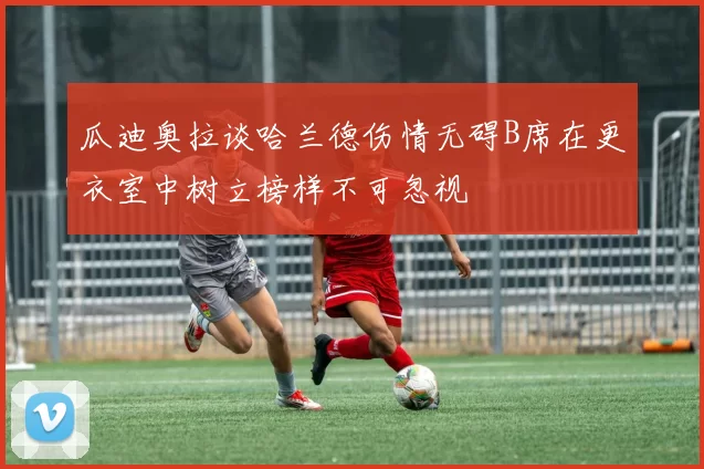 瓜迪奥拉谈哈兰德伤情无碍B席在更衣室中树立榜样不可忽视