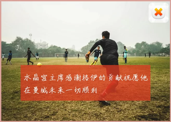 水晶宫主席感谢格伊的贡献祝愿他在曼城未来一切顺利
