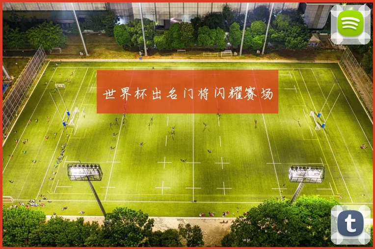 世界杯出名门将闪耀赛场