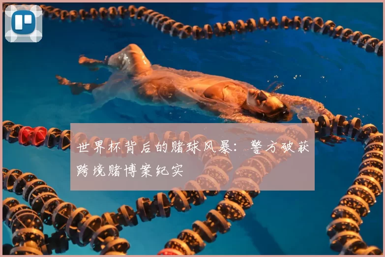 世界杯背后的赌球风暴：警方破获跨境赌博案纪实