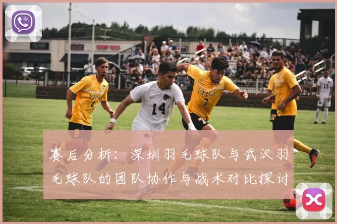 赛后分析:深圳羽毛球队与武汉羽毛球队的团队协作与战术对比探讨