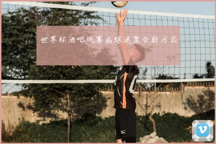 世界杯酒吧观赛成球迷聚会新方式