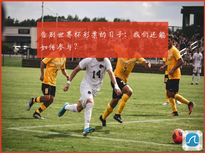 告别世界杯彩票的日子:我们还能如何参与?