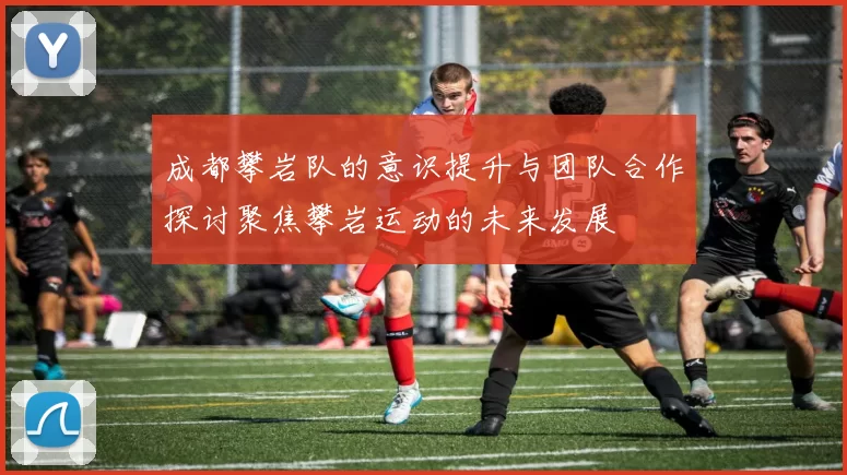 成都攀岩队的意识提升与团队合作探讨聚焦攀岩运动的未来发展